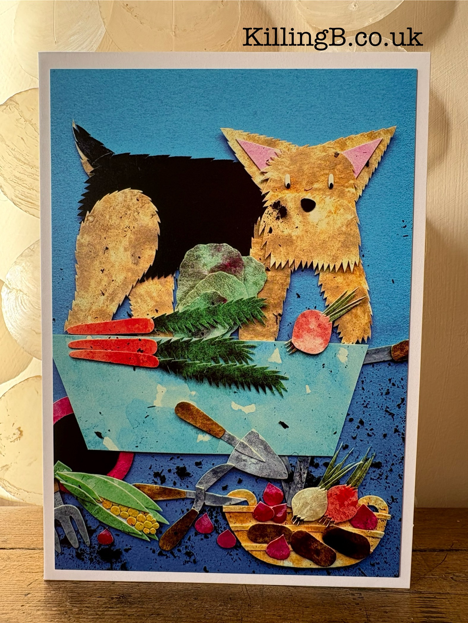 Winston at the Allotment - Front