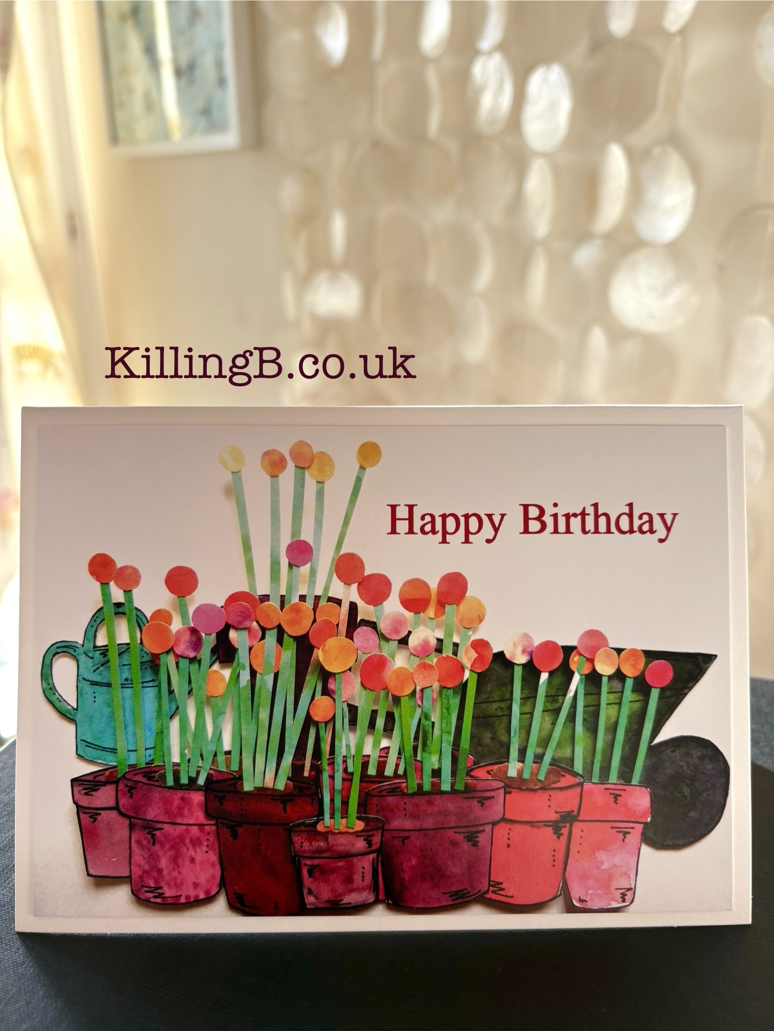 Wheelbarrow, Watering Can & Pots of Plants