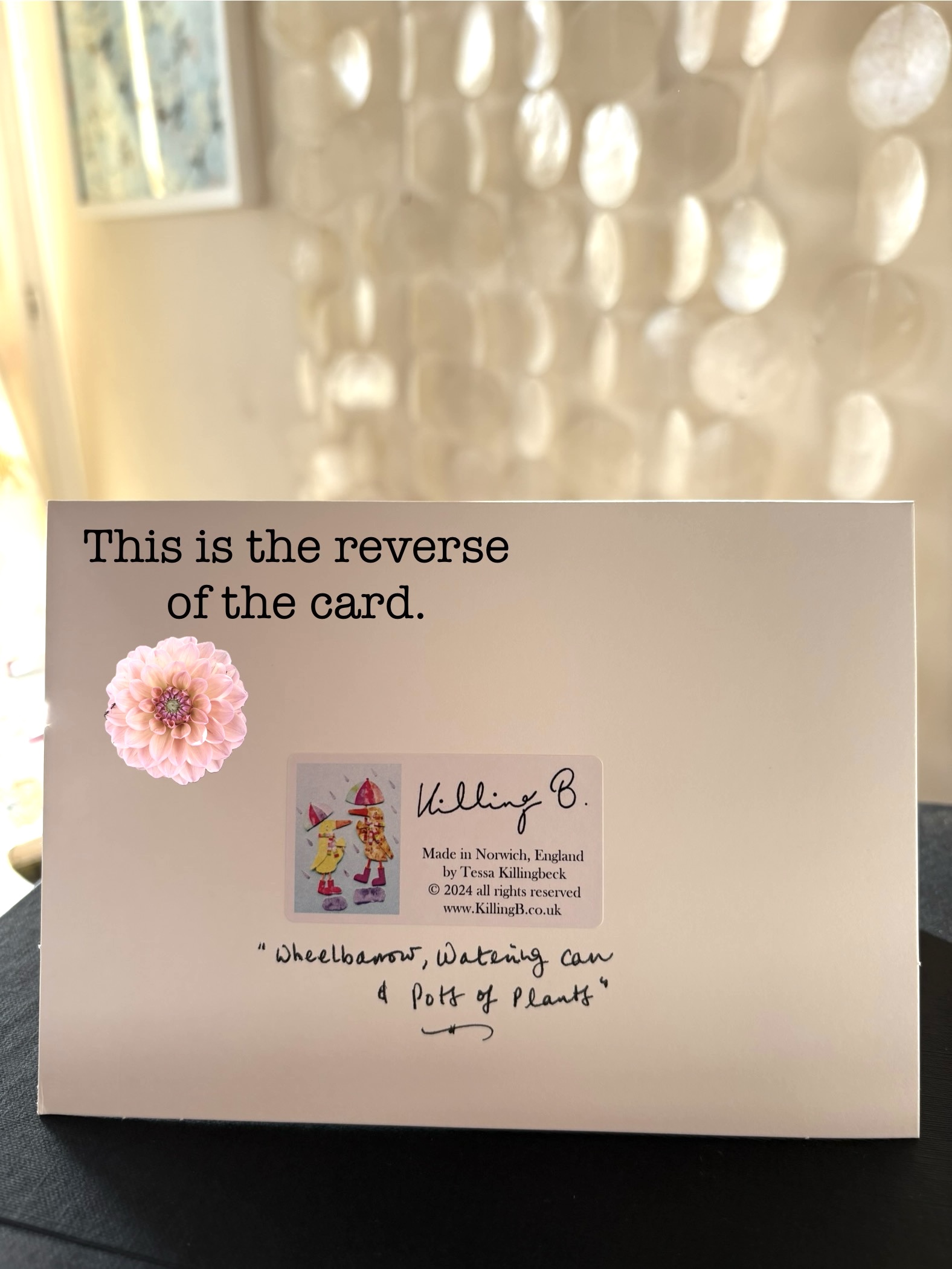 Wheelbarrow, Watering Can & Pots of Plants - Reverse